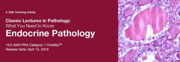 2019 Classic Lectures In Pathology What You Need To Know Endocrine Pathology - Medical Course Shop | Board Review Courses