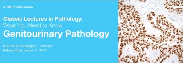 2019 Classic Lectures In Pathology What You Need To Know Genitourinary Pathology - Medical Course Shop | Board Review Courses