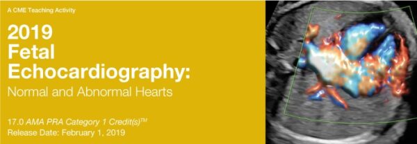 2019 Fetal Echocardiography: Normal And Abnormal Hearts – A Video Cme Teaching Activity - Medical Course Shop | Board Review Courses