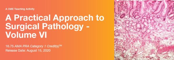 2020 A Practical Approach To Surgical Pathology – Volume Vi (Cme Videos) - Medical Course Shop | Board Review Courses