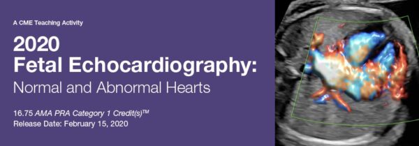 2020 Fetal Echocardiography: Normal And Abnormal Hearts – A Video Cme Teaching Activity - Medical Course Shop | Board Review Courses