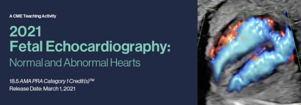 2021 Fetal Echocardiography: Normal And Abnormal Hearts (Cme Videos) - Medical Course Shop | Board Review Courses