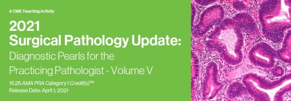 2021 Surgical Pathology Update: Diagnostic Pearls For The Practicing Pathologist – Volume V (Cme Videos) - Medical Course Shop | Board Review Courses