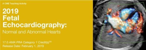 Fetal Echocardiography: Normal And Abnormal Hearts 2019 (Videos+Pdfs) - Medical Course Shop | Board Review Courses