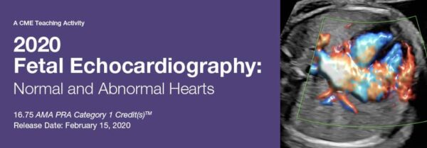 Fetal Echocardiography Normal And Abnormal Hearts 2020 - Medical Course Shop | Board Review Courses