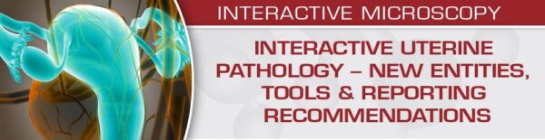 Uscap Interactive Uterine Pathology – New Entities, Tools &Amp;Amp; Reporting Recommendations - Medical Course Shop | Board Review Courses
