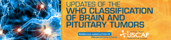Uscap Updates Of The Who Classification Of Brain And Pituitary Tumors 2019 - Medical Course Shop | Board Review Courses