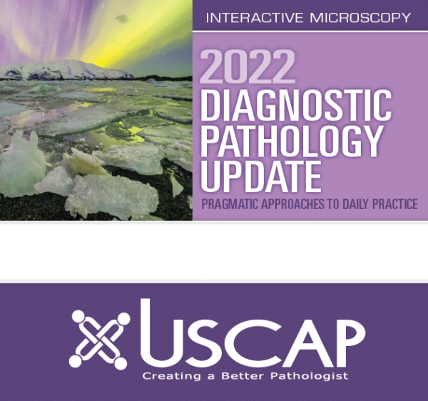 2022 Diagnostic Pathology Update: Pragmatic Approaches To Daily Practice ( Videos) - Medical Course Shop | Board Review Courses