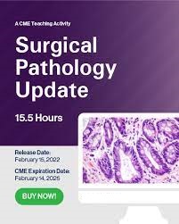 Surgical Pathology Update: Diagnostic Pearls For The Practicing Pathologist – Vol. Vi 2022 ( Videos) - Medical Course Shop | Board Review Courses
