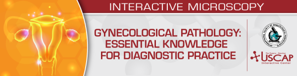 USCAP Gynecological Pathology 2024: Essential Knowledge for Diagnostic Practice - Medical Course Shop | Board Review Courses