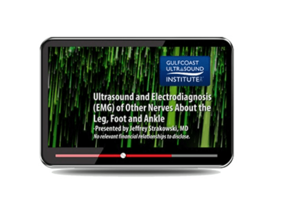 Gulfcoast Ultrasound and Electrodiagnosis (EMG) of Other Nerves About the Leg, Foot and Ankle 2023 - Medical Course Shop | Board Review Courses