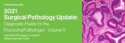 2021 Surgical Pathology Update: Diagnostic Pearls for the Practicing Pathologist – Volume V