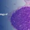 MSKCC Breast Pathology – The Pathology of Neoplastic Diseases 2025 (Videos with subtitles + Slides)