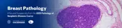 MSKCC Breast Pathology – The Pathology of Neoplastic Diseases 2025 (Videos with subtitles + Slides)