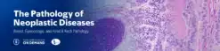 MSKCC The Pathology of Neoplastic Diseases 2025 (Videos with subtitles + Slides)